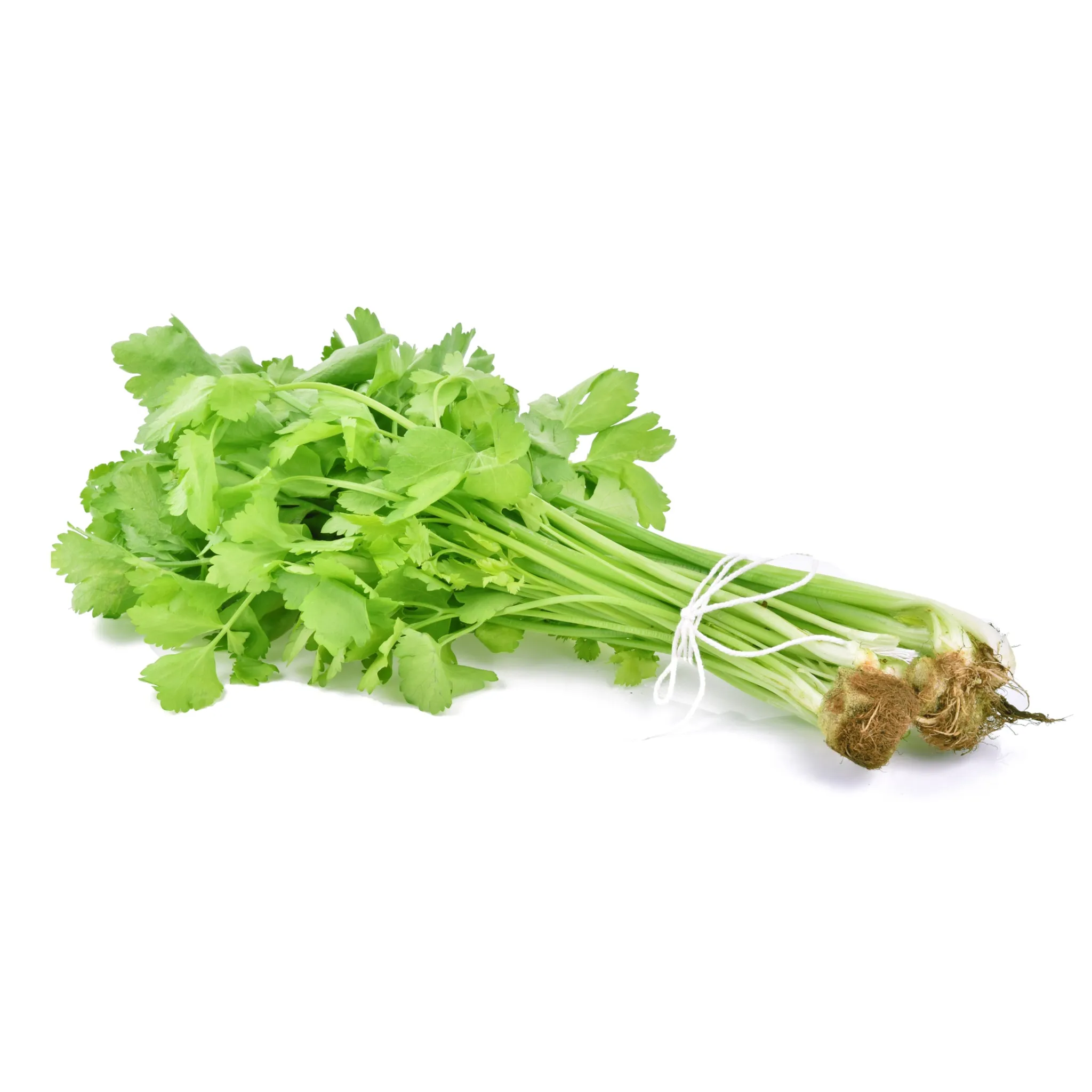 Fresh Thai (Chinese) Celery 100g - Imported Weekly from Thailand