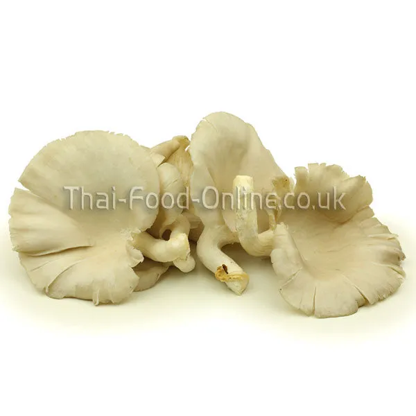 Fresh Thai Oyster Mushrooms 100g - Imported Weekly from Thailand