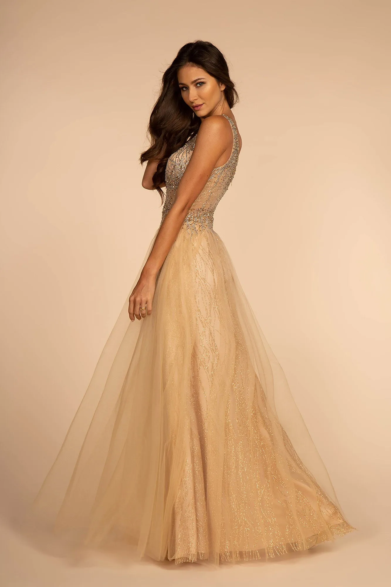 Sheer Bodice V-Neck Glitter Mesh A-Line Dress GLGL2618