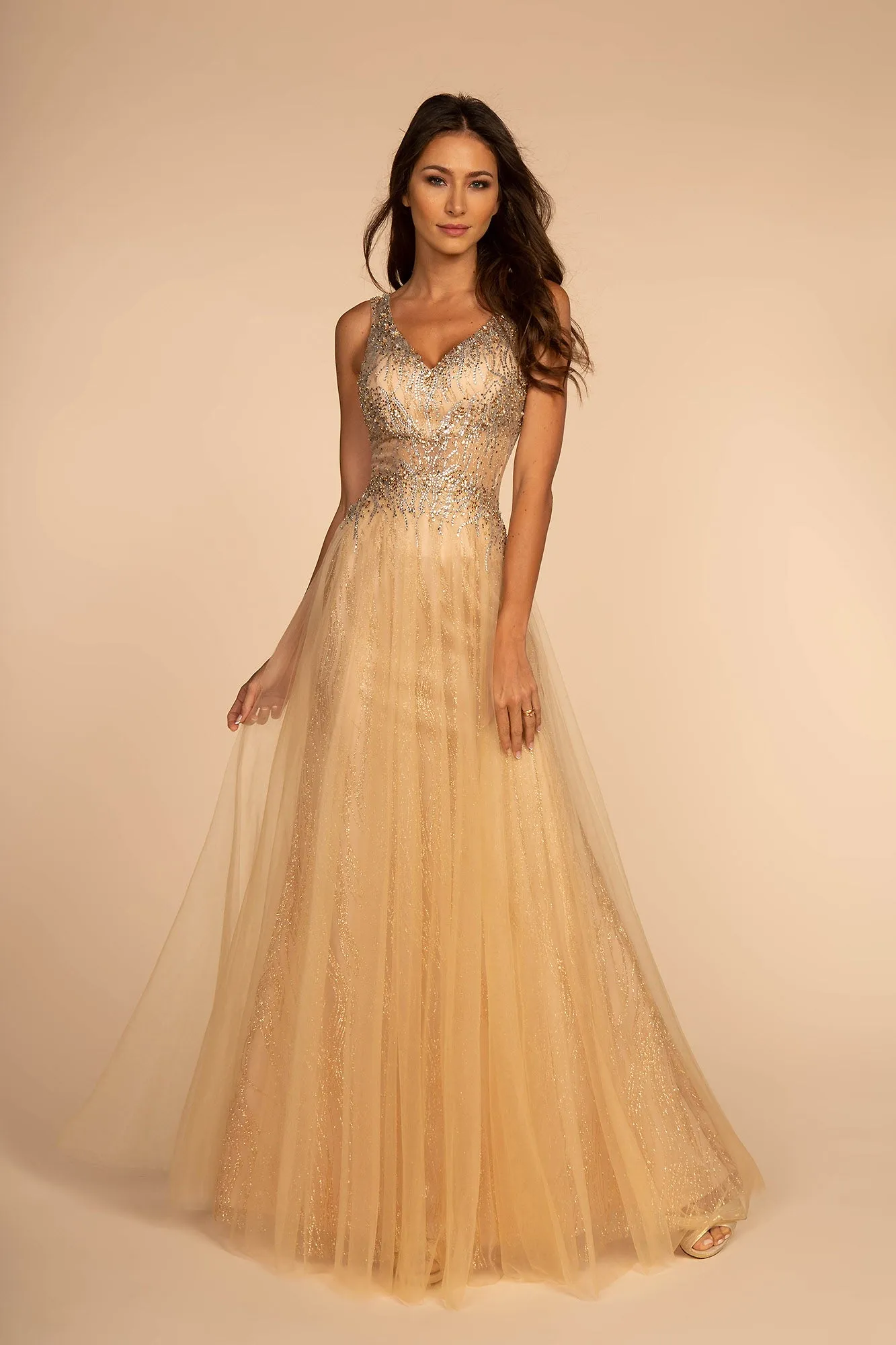 Sheer Bodice V-Neck Glitter Mesh A-Line Dress GLGL2618