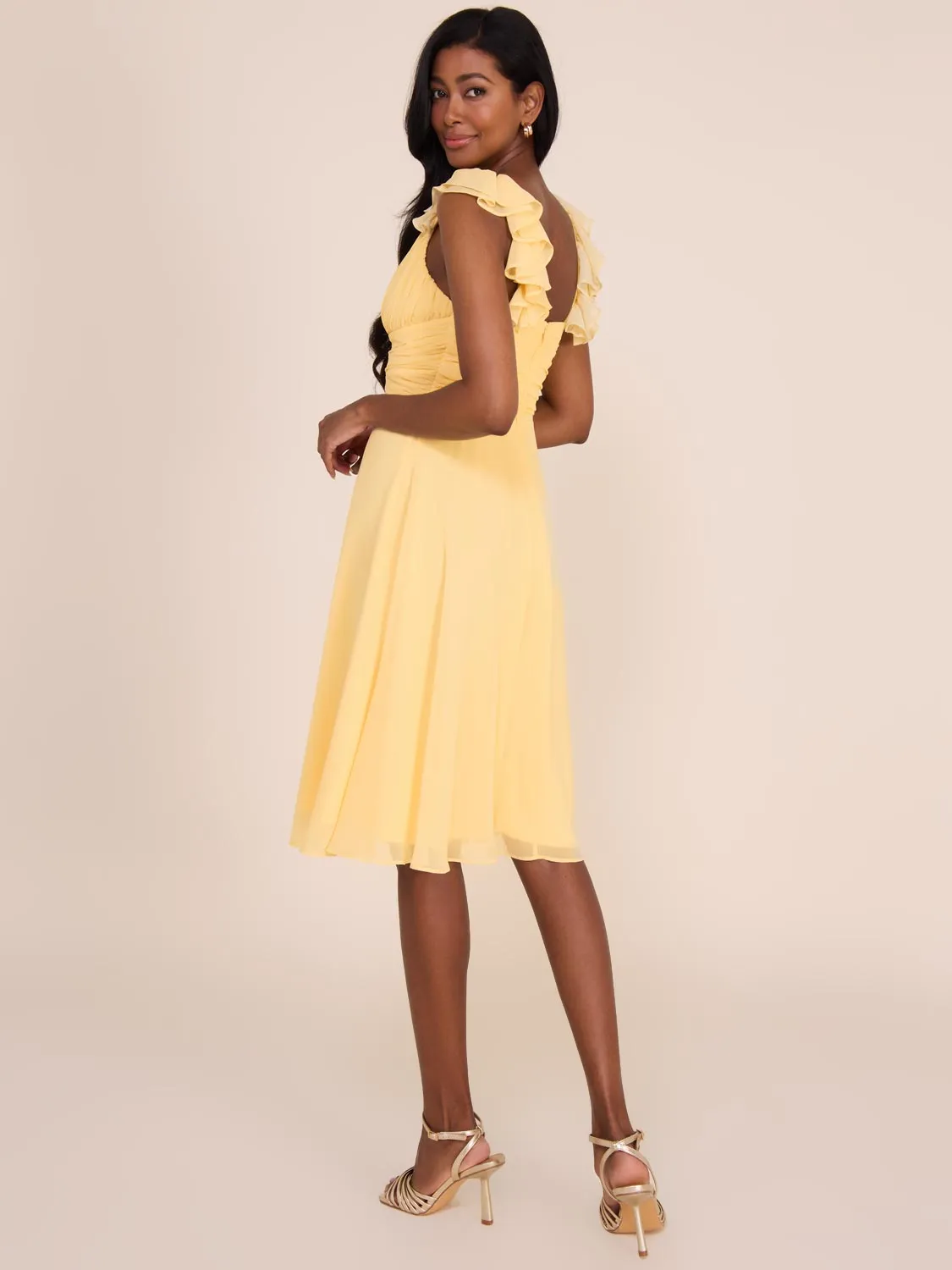 V-Neck Fit & Flare Chiffon Dress
